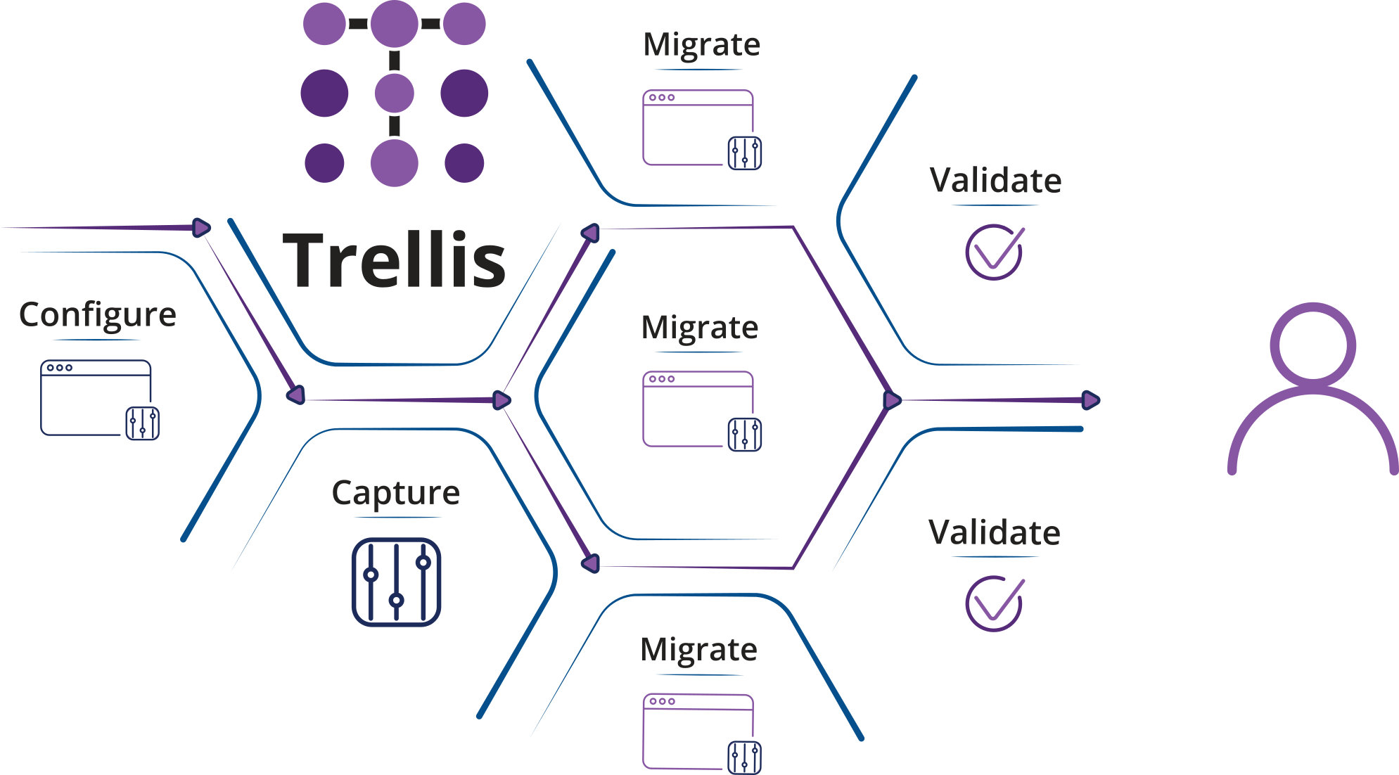 Trellis Info-graphic